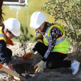 Safety week tree planting. 
